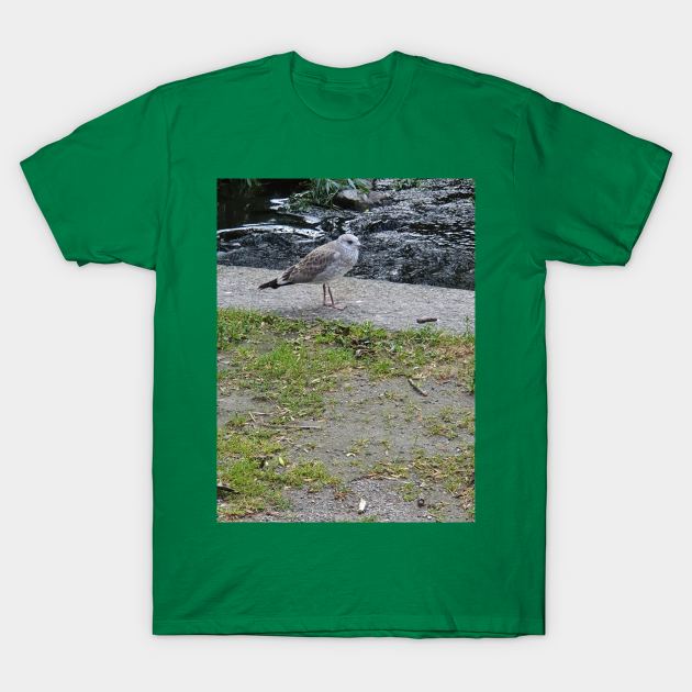 Hungry Seagull T-Shirt by Alemway